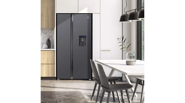 Tu_Lanh_Electrolux_ESE6141A-BVN